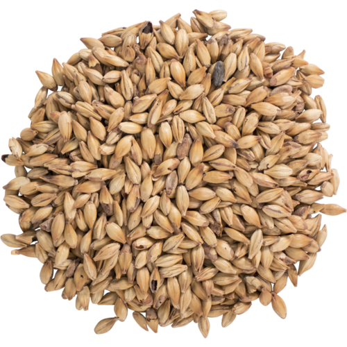 Bosagrape Winery Supplies Ltd. > Grains, Malt & Adjuncts > Grains