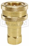 Quick Disconnect F x 3/4" FPT, Heavy Duty, Brass
