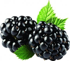 Blackberry Fruit Puree 4.4lb/2 kg *On Sale*