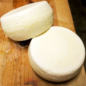 Thermophilic Cheese Culture (New England Cheesemaking) 5 pack