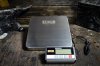 ANVIL™ Scale - 65lb Capacity