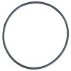 Euro 30 Pump Part: Head O-Ring