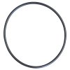 Euro 30 Pump Part: Body O-Ring