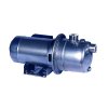 Pump - Ebara JES M5 - PVI (110V, Single Phase)
