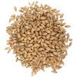 Beechwood Smoked Malt (Viking)