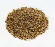 Crystal 30L Malt (GWM)