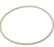 Replacement Lid Gasket Speidel 20L & 30L