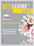 Vitilevure Elixir 500g
