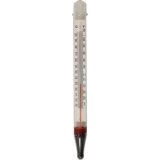 Basic Floating Thermometer