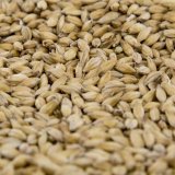 2-Row Pale Malt (Gambrinus)