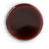 Liquid Malt Extract - Sparkling Amber (Briess)