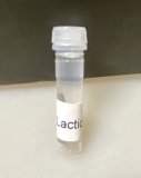 Acid Standards 10mL - Lactic Acid