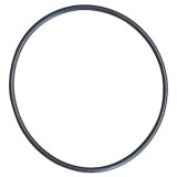 Euro 30 Pump Part: Body O-Ring