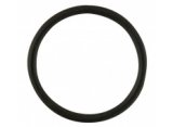 Replacement O Ring for Gas Transfer Tool