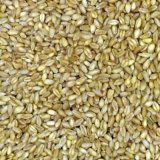 Unmalted Wheat (OIO)