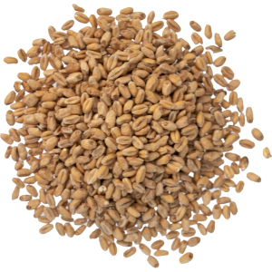 Smoked Wheat Malt (Viking)