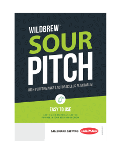 WildBrew™ Sour Pitch Lactobacillus Dry Culture, Lallemand - 250g - Sale!