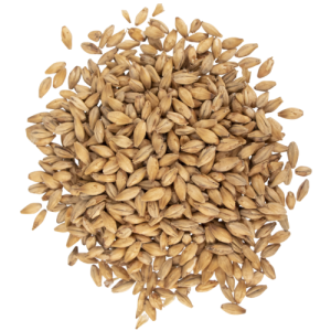 Beechwood Smoked Malt (Viking)
