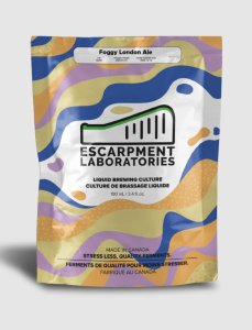 Escarpment Labs Foggy London