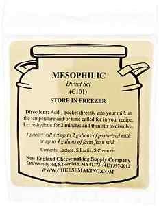 Mesophilic Cheese Culture (New England Cheesemaking) 5-pack