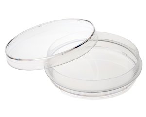 Sterile Petri Dish 100mm - 25 pack